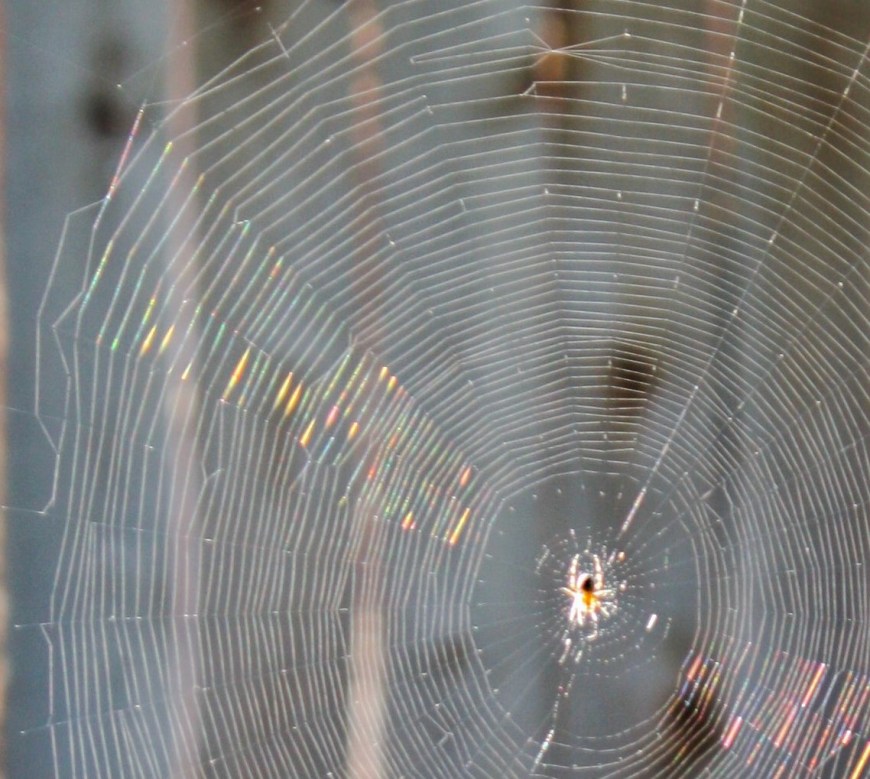 Hidden Thread Finding the Thread: What is Behind a Name? – Finding The Thread